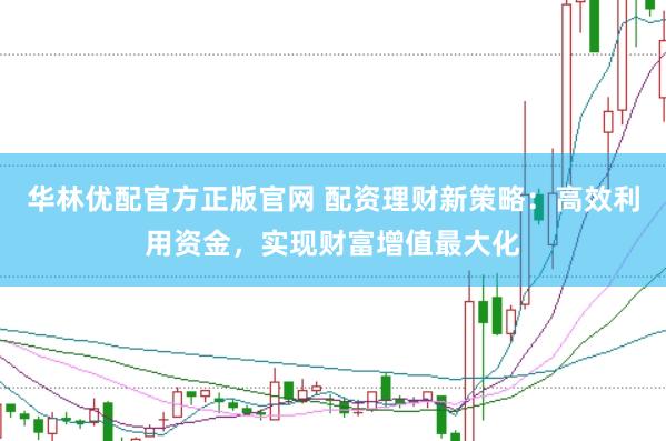 华林优配官方正版官网 配资理财新策略：高效利用资金，实现财富增值最大化