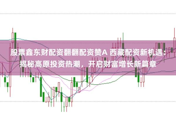 股票鑫东财配资翻翻配资赞A 西藏配资新机遇：揭秘高原投资热潮，开启财富增长新篇章
