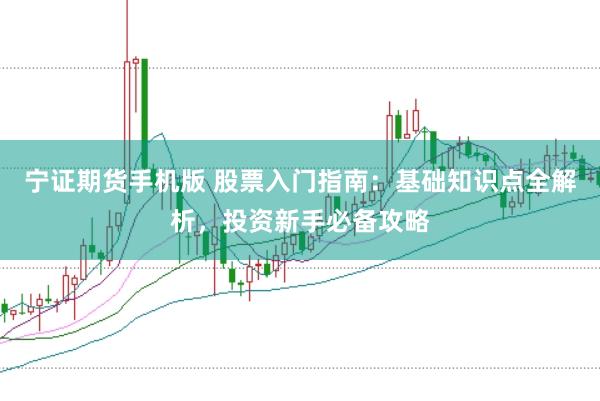宁证期货手机版 股票入门指南：基础知识点全解析，投资新手必备攻略