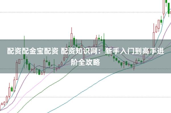配资配金宝配资 配资知识网：新手入门到高手进阶全攻略