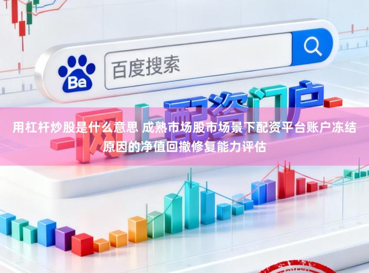 用杠杆炒股是什么意思 成熟市场股市场景下配资平台账户冻结原因的净值回撤修复能力评估